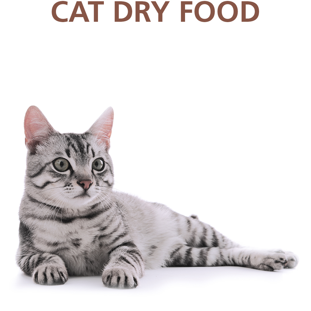 CAT DRY FOOD